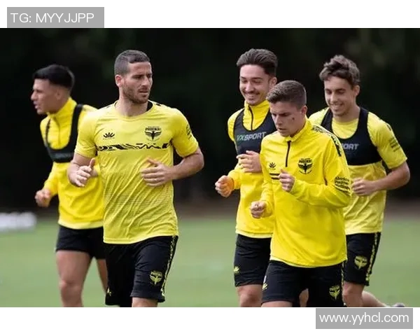 惠灵顿凤凰展翅高飞助力新西兰文化与经济发展新篇章